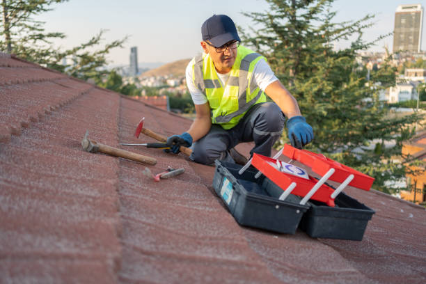 Affordable Siding Repair and Maintenance Services in Temelec, CA